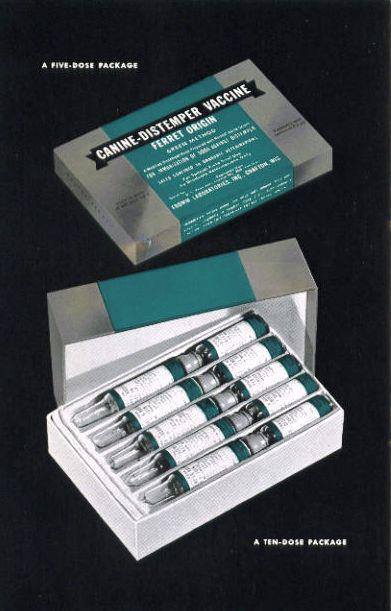 Black Foxes UK - Vaccination